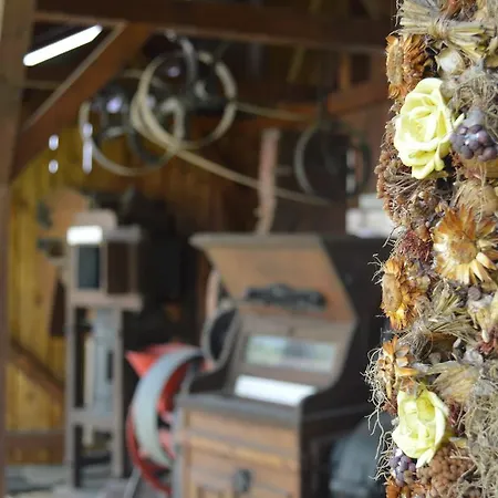 Penzion Edvy Malom Fogado Barokk Udvarhaz 3*