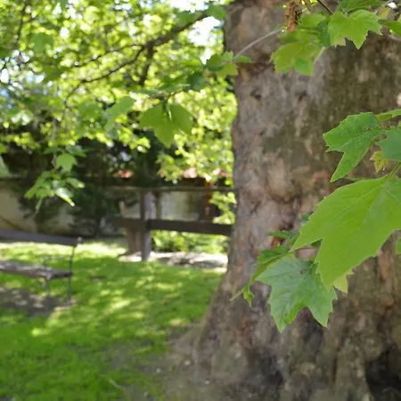 Edvy Malom Fogado Barokk Udvarhaz Pápa